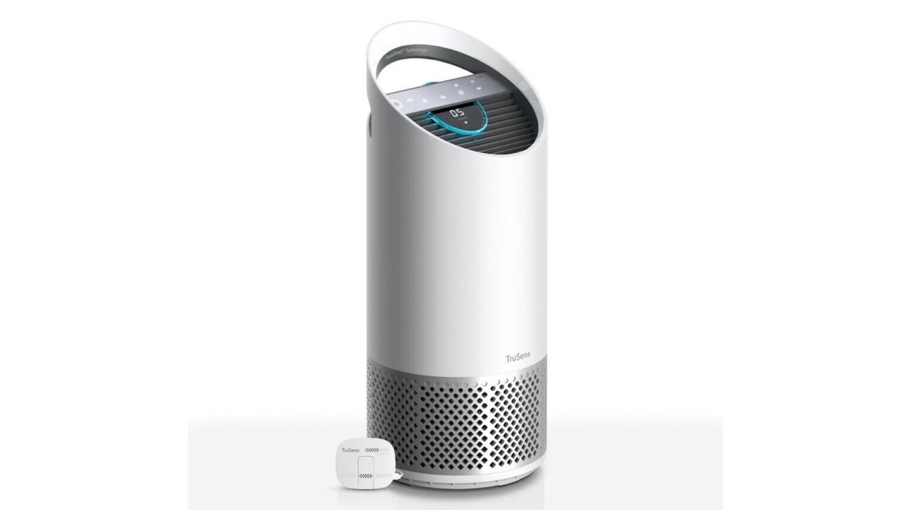The Best Air Purifiers for Cigarette Smoke in 2024 - Xievo